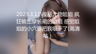 2023.3.11 极品尤物姐姐 疯狂输出穿长裙的姐姐 感觉姐姐的小穴要把我吸干了(高清帖）