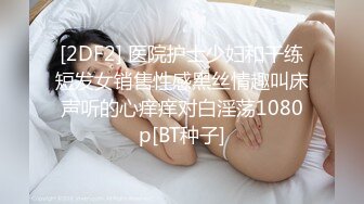 粤A前任炮②