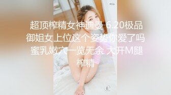 大奶老婆2