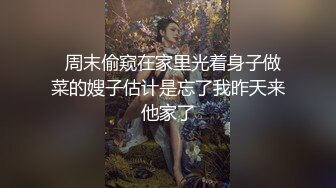 十一月新流出私房大神极品收藏商场女厕全景后拍系列漂亮学妹蜜桃臀 (1)