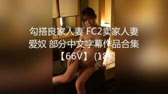 勾搭良家人妻 FC2卖家人妻爱奴 部分中文字幕作品合集【66V】 (18)