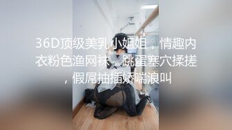 36D顶级美乳小姐姐，情趣内衣粉色渔网袜，跳蛋塞穴揉搓，假屌抽插娇喘浪叫