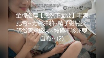 17公分操母狗高潮