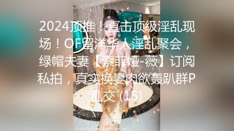 2024顶推！直击顶级淫乱现场！OF留洋华人淫乱聚会，绿帽夫妻【索菲娅-薇】订阅私拍，真实换妻肉欲轰趴群P乱交 (15)