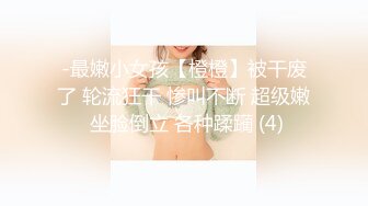 女仆后续2