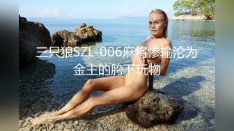 三只狼SZL-006麻将惨输沦为金主的胯下玩物