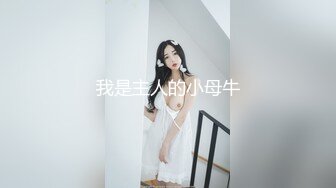 我是主人的小母牛