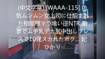 收集的国产乱伦剧情演绎系列合集2【57V】 (19)