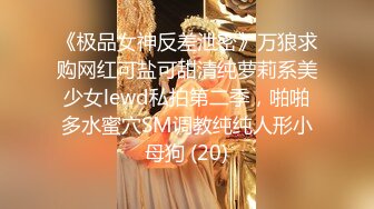 ★☆震撼福利☆★万人求购P站女族性爱专家 极品反差骚妻【静芸】解锁私拍，灵活长舌性感少妇的顶级口交侍奉，啪啪啪全自动榨精机 (15)