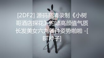 [2DF2] 源码高清录制《小树哥酒店探花》约嫖高颜值气质长发美女六九各种姿势啪啪 -[BT种子]