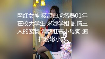  锤子探花佳人姗姗来迟，甜美平面模特，面容姣好，共度欢乐时光