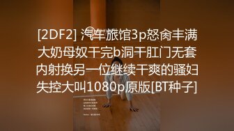 [2DF2] 汽车旅馆3p怒肏丰满大奶母奴干完b洞干肛门无套内射换另一位继续干爽的骚妇失控大叫1080p原版[BT种子]