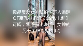 极品反差女神私拍，万人追踪OF豪乳小姐姐【Carly卡莉】订阅，紫薇露出啪啪，女神的另一面很母狗的 (2)