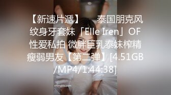 【新速片遞】   ✨泰国朋克风纹身牙套妹「Elle Iren」OF性爱私拍 微胖巨乳泰妹榨精瘦弱男友【第二弹】[4.51GB/MP4/1:44:38]