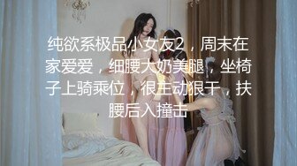 纯欲系极品小女友2，周末在家爱爱，细腰大奶美腿，坐椅子上骑乘位，很主动狠干，扶腰后入撞击