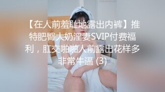 【在人前羞耻地露出内裤】推特肥臀大奶淫妻SVIP付费福利，肛交啪啪人前露出花样多非常牛逼 (3)