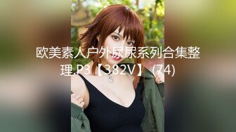 欧美素人户外尿尿系列合集整理.P3【382V】 (74)