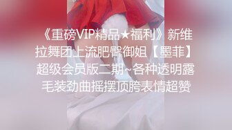 《重磅VIP精品★福利》新维拉舞团上流肥臀御姐【墨菲】超级会员版二期~各种透明露毛装劲曲摇摆顶胯表情超赞