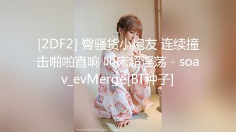 [2DF2] 最新流出被摄影师夸奖像杨幂又像李小璐的艺校大三学生美女宾馆大胆私拍第2部性感镂空网衣亮点是俩人对白很有料__evMerge[BT种子]