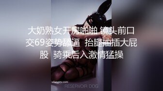 大奶熟女开房啪啪 镜头前口交69姿势舔逼  抬腿抽插大屁股  骑乘后入激情猛操