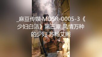 _麻豆传媒 MDSR-0005-3《少妇白洁》第三章 风情万种的少妇 苏畅艾熙