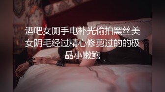 酒吧女厕手电补光偷拍黑丝美女阴毛经过精心修剪过的的极品小嫩鲍