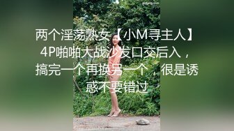 对白淫荡，极品大长腿完美身材阴钉骚女【金秘书】12月私拍，火锅店上桌道具发骚 (1)