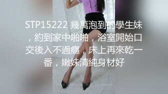 画风唯美极品肥臀高叉肉丝稀毛B紫薇放尿