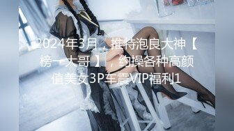 2024年3月，推特泡良大神【榜一大哥 】，约操各种高颜值美女3P车震VIP福利1