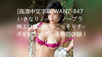 [高清中文字幕]WANZ-847 いきなりノーパンノーブラ 神エロ露出女がこっそりチ○ポを痴女ってくる奇跡体験 JULIA