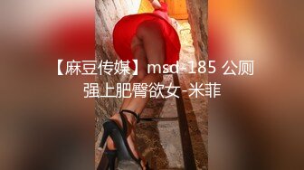 【麻豆传媒】msd-185 公厕强上肥臀欲女-米菲