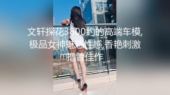 文轩探花3800约的高端车模,极品女神魅惑性感,香艳刺激撸管佳作