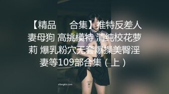  【精品❤️合集】推特反差人妻母狗 高挑模特 清纯校花萝莉 爆乳粉穴无套爆操美臀淫妻等109部合集（上）