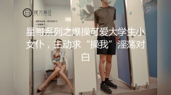 星哥系列之爆操可爱大学生小女仆，主动求“操我”淫荡对白