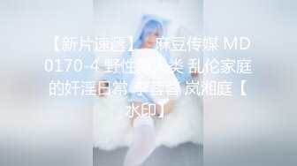 起点传媒 XSJ-02 奇淫三国之诸葛舌战群儒 仙儿媛