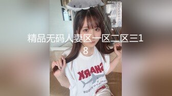 精品无码人妻区一区二区三18