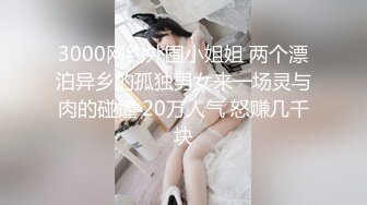 3000网约外围小姐姐 两个漂泊异乡的孤独男女来一场灵与肉的碰撞 20万人气 怒赚几千块