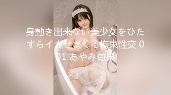 巨乳家政妇のお仕事