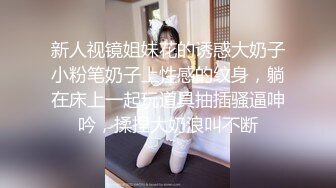 新人视镜姐妹花的诱惑大奶子小粉笔奶子上性感的纹身，躺在床上一起玩道具抽插骚逼呻吟，揉捏大奶浪叫不断