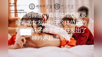 愛神傳媒 EMYH004 同城約會 圓了我的女仆性幻想 溫芮欣