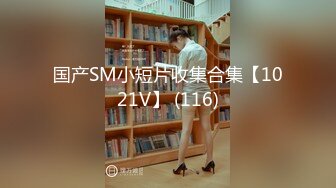 国产SM小短片收集合集【1021V】 (116)