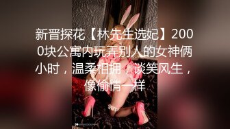 新晋探花【林先生选妃】2000块公寓内玩弄别人的女神俩小时，温柔相拥，谈笑风生，像偷情一样