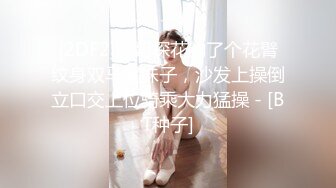 [2DF2]鸭哥探花约了个花臂纹身双马尾妹子，沙发上操倒立口交上位骑乘大力猛操 - [BT种子]