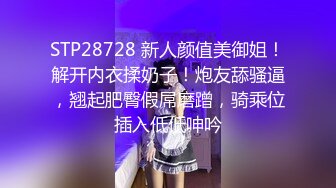 STP28728 新人颜值美御姐！解开内衣揉奶子！炮友舔骚逼，翘起肥臀假屌磨蹭，骑乘位插入低低呻吟