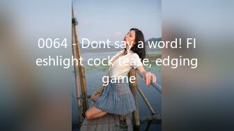 0064 - Dont say a word! Fleshlight cock tease, edging game