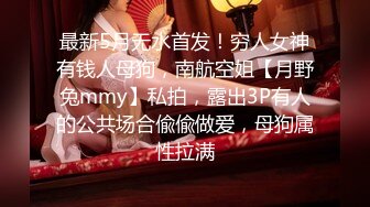 最新5月无水首发！穷人女神有钱人母狗，南航空姐【月野兔mmy】私拍，露出3P有人的公共场合偸偸做爱，母狗属性拉满