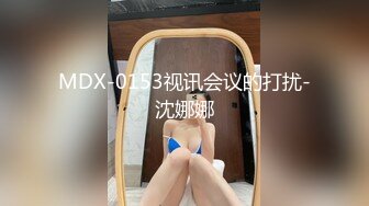 MDX-0153视讯会议的打扰-沈娜娜